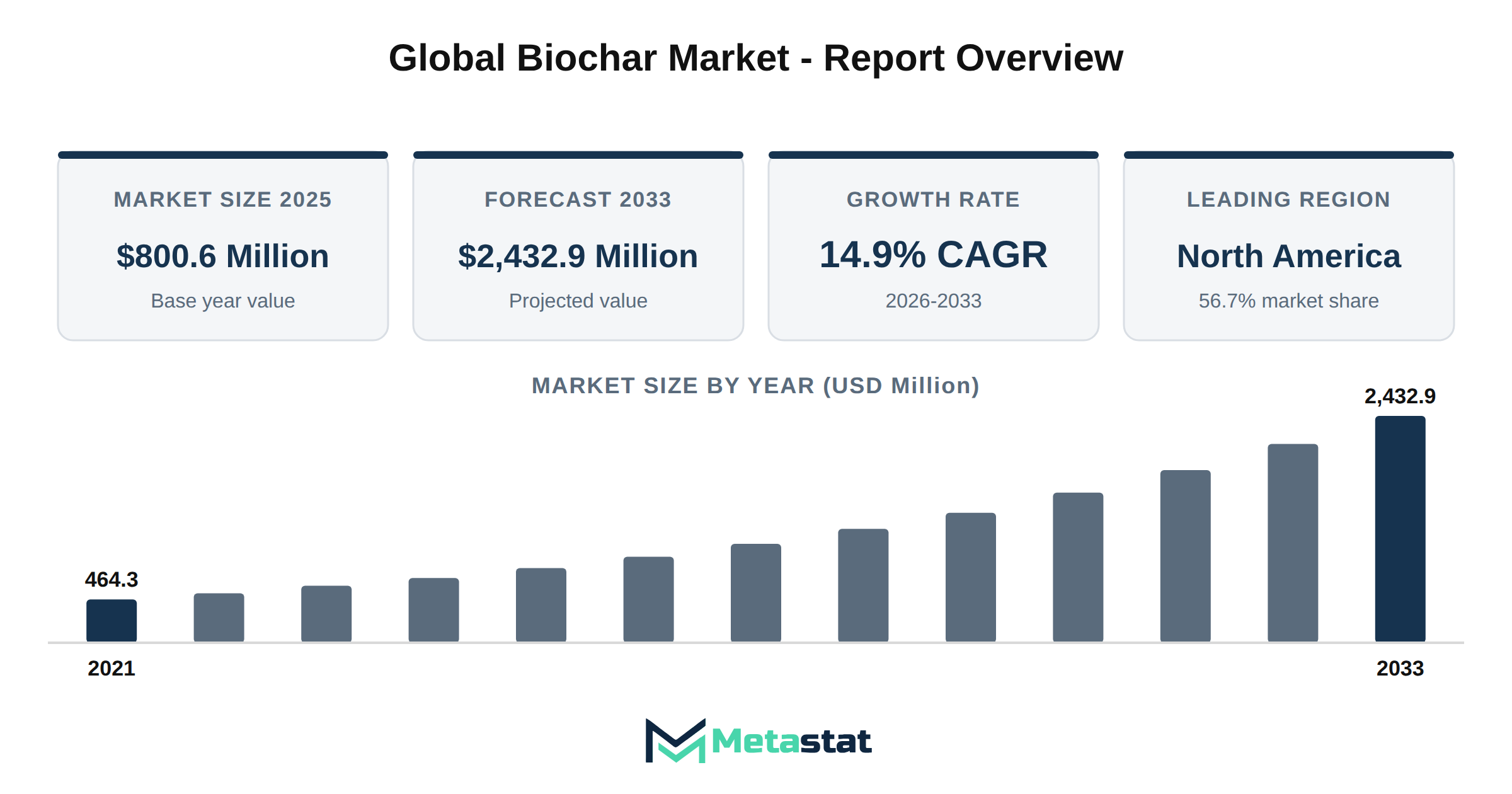 Biochar Market Market Overview
