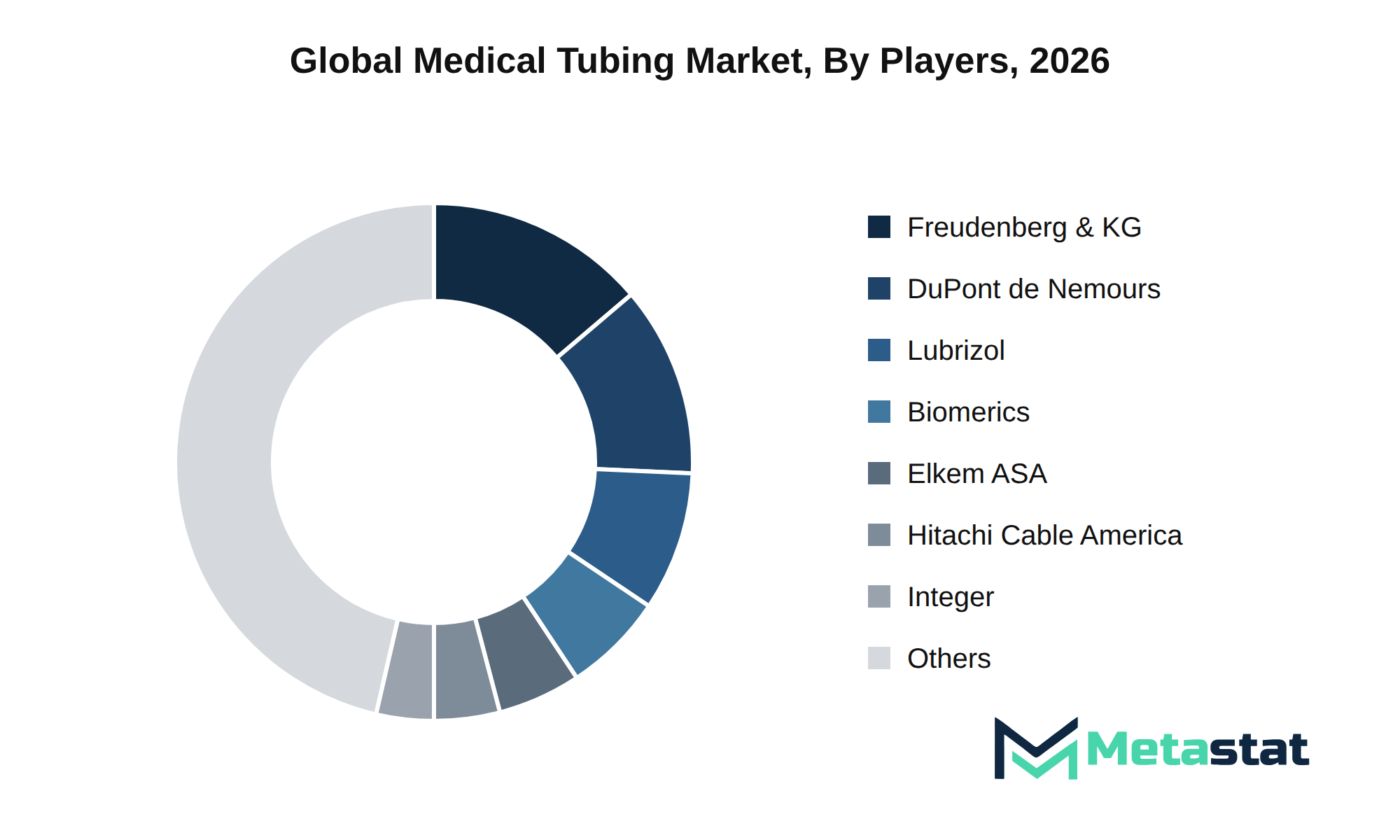 Medical Tubing Market Market by Players