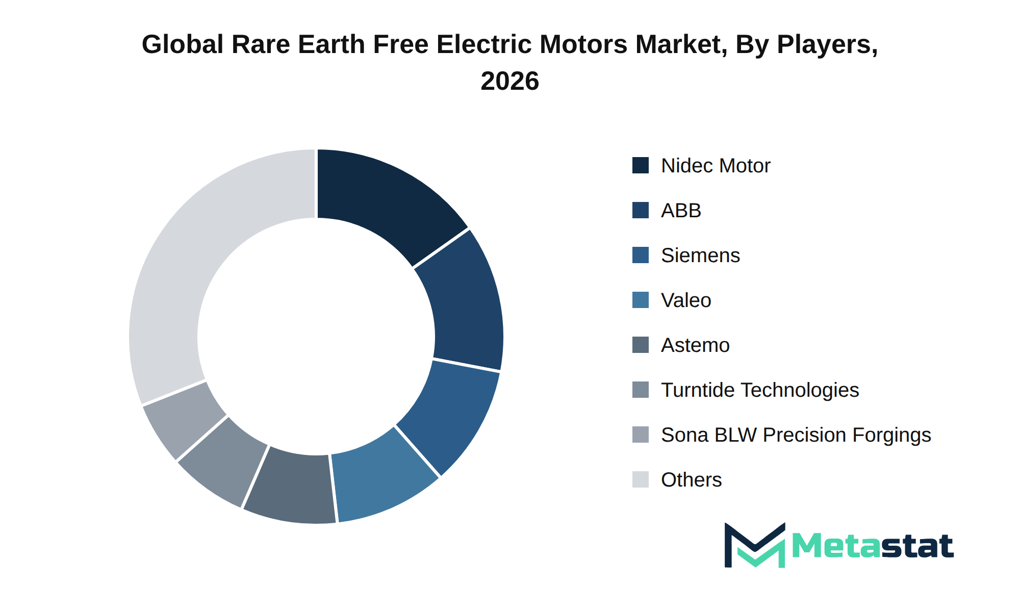 Rare Earth Free Electric Motors Market Market by Players