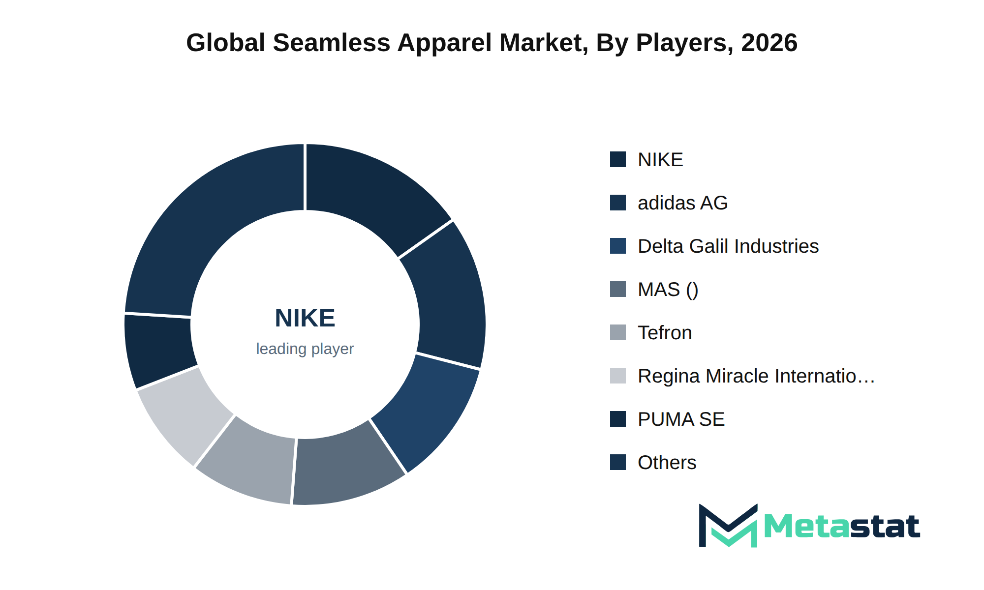 Seamless Apparel Market Market by Players