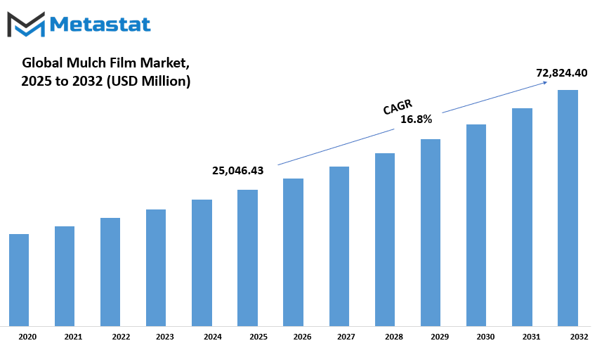 Mulch Film Market Size By Value