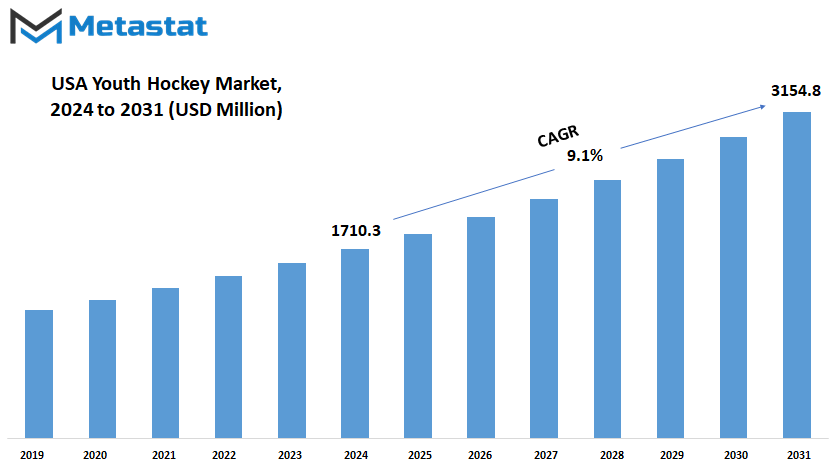 Usa Youth Hockey Market Size By Value