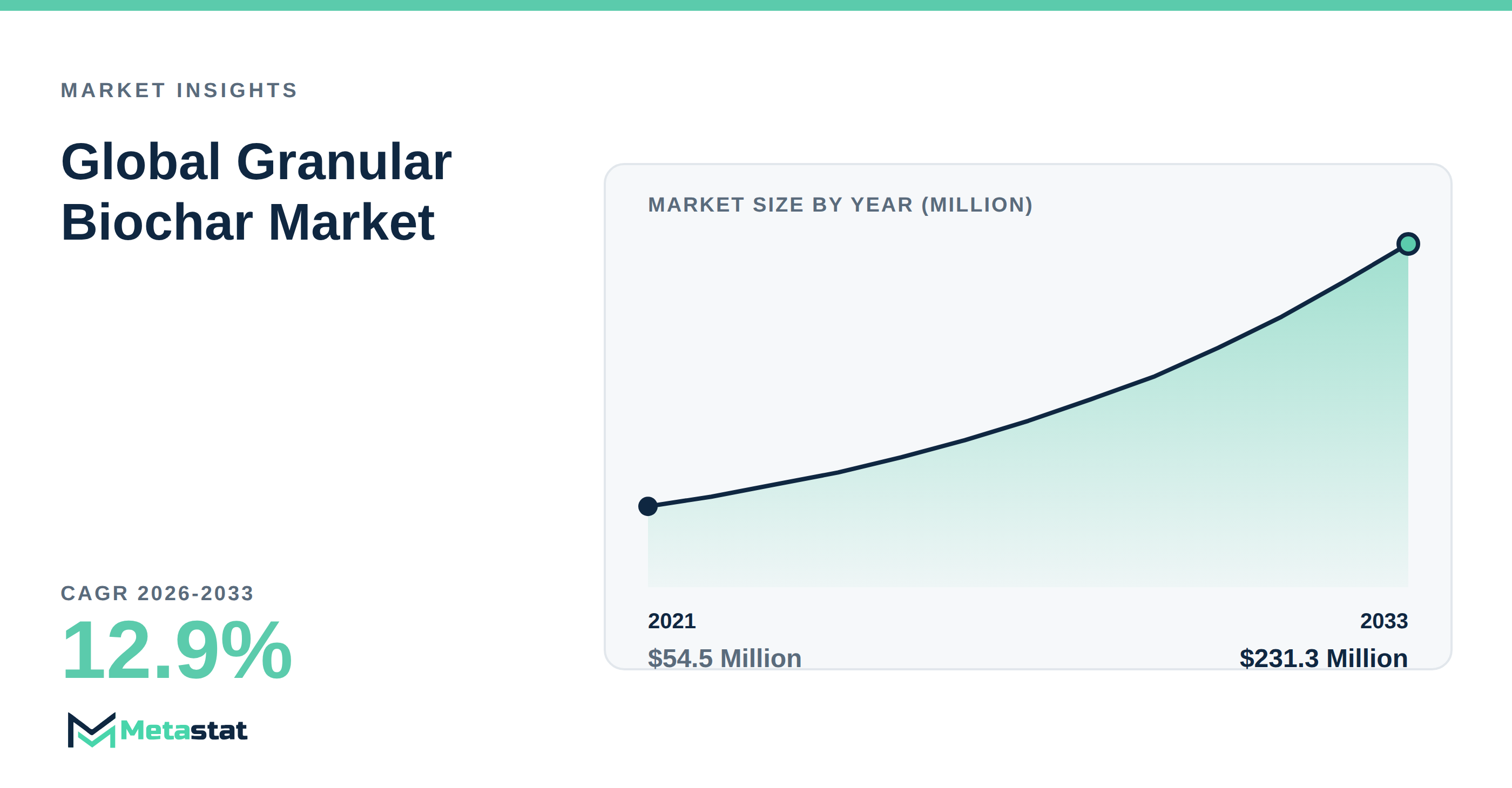 Granular Biochar Market Overview