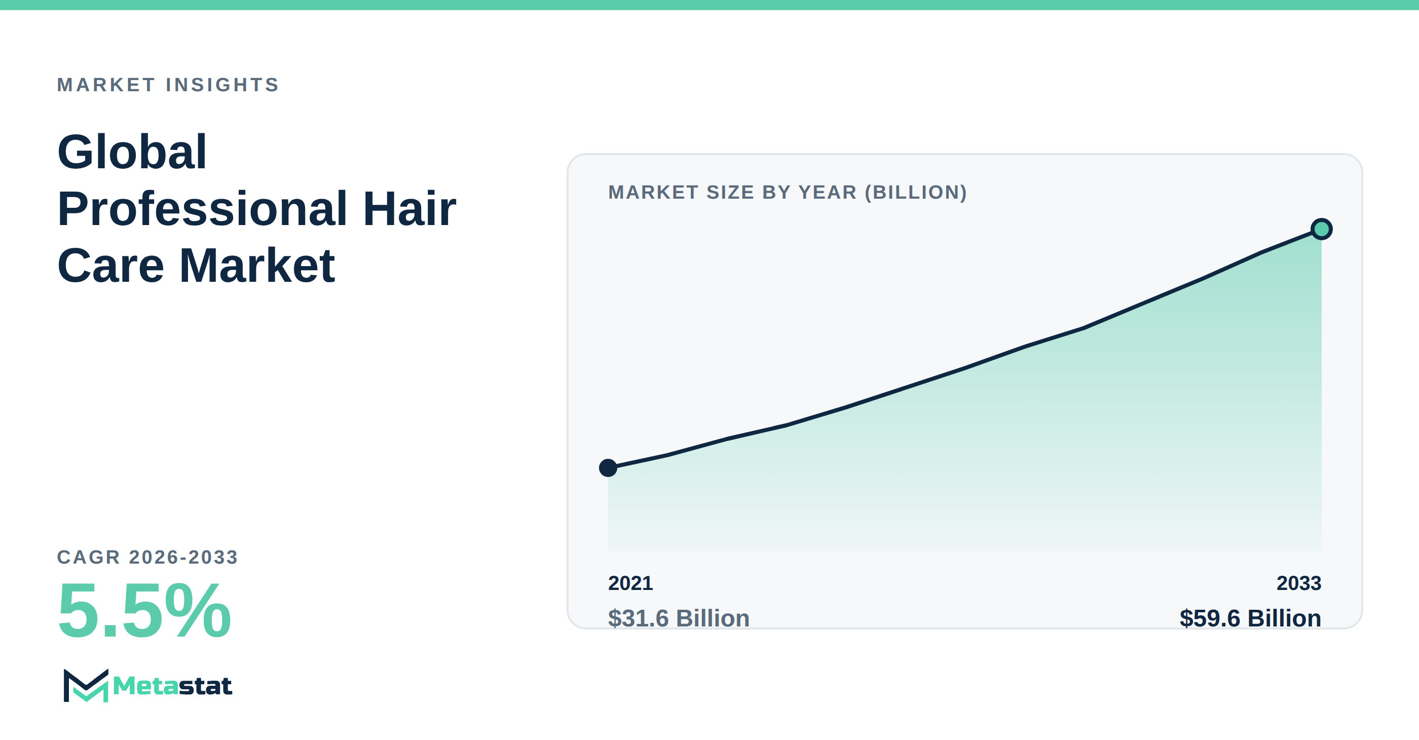 Professional Hair Care Market Overview