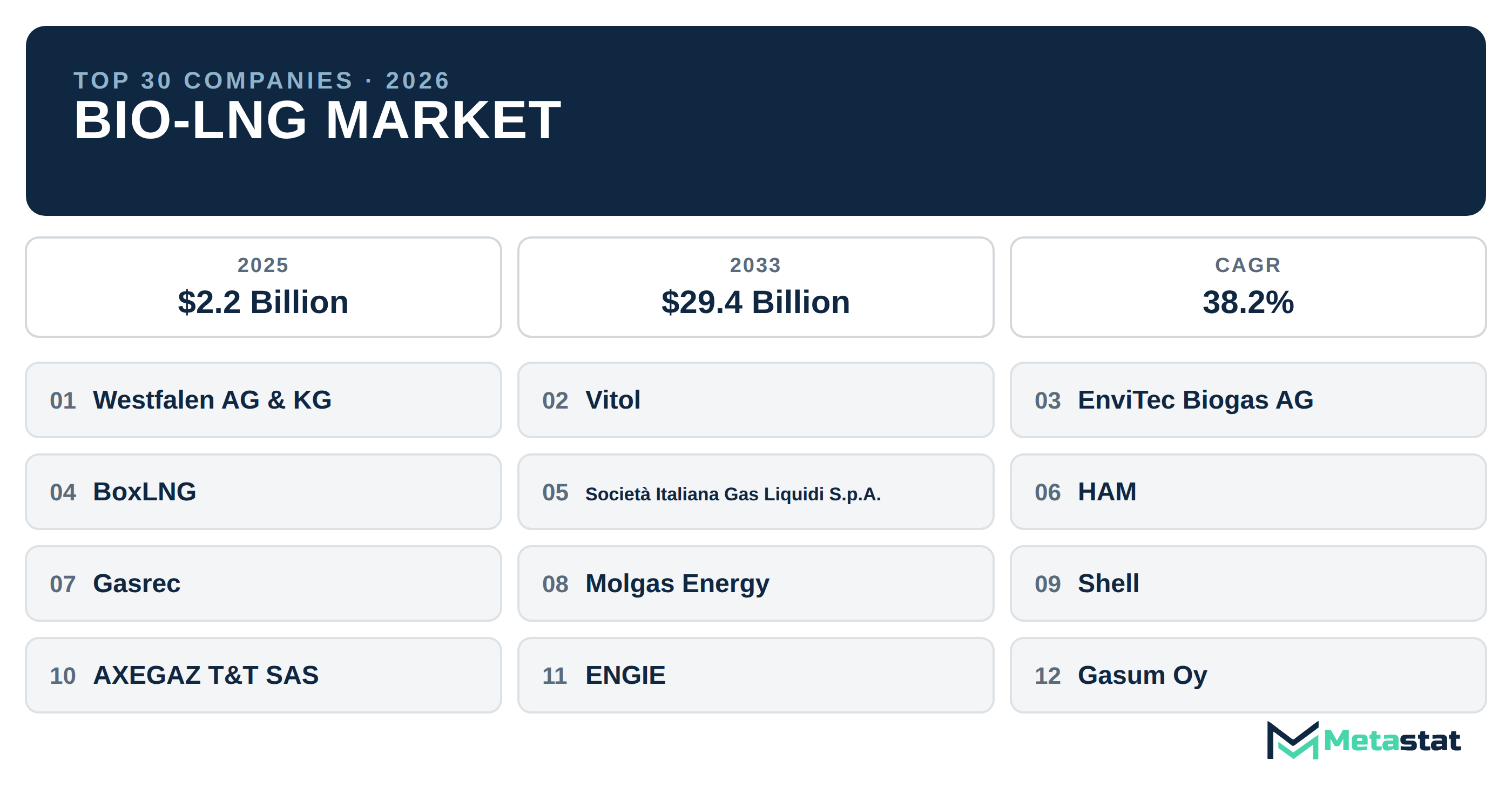 Top 30 Companies Global Bio-LNG Industry