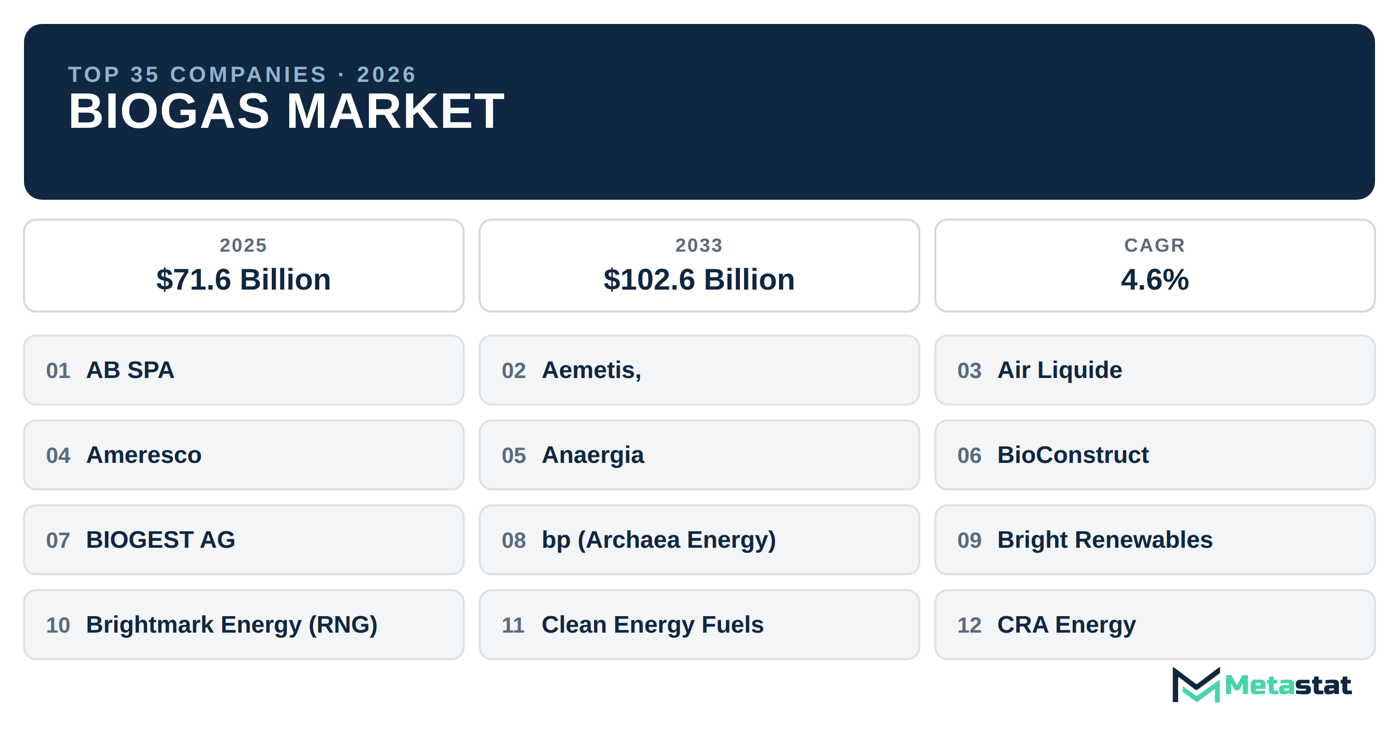 Top 35 Companies Global Biogas Market in (2025-2033): Metastat Insights Analysis