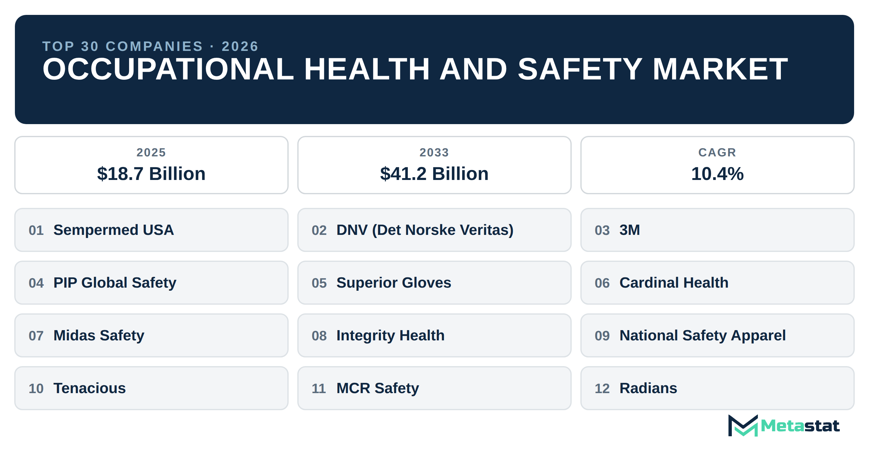 Top 30 Companies Global Occupational Health and Safety Industry