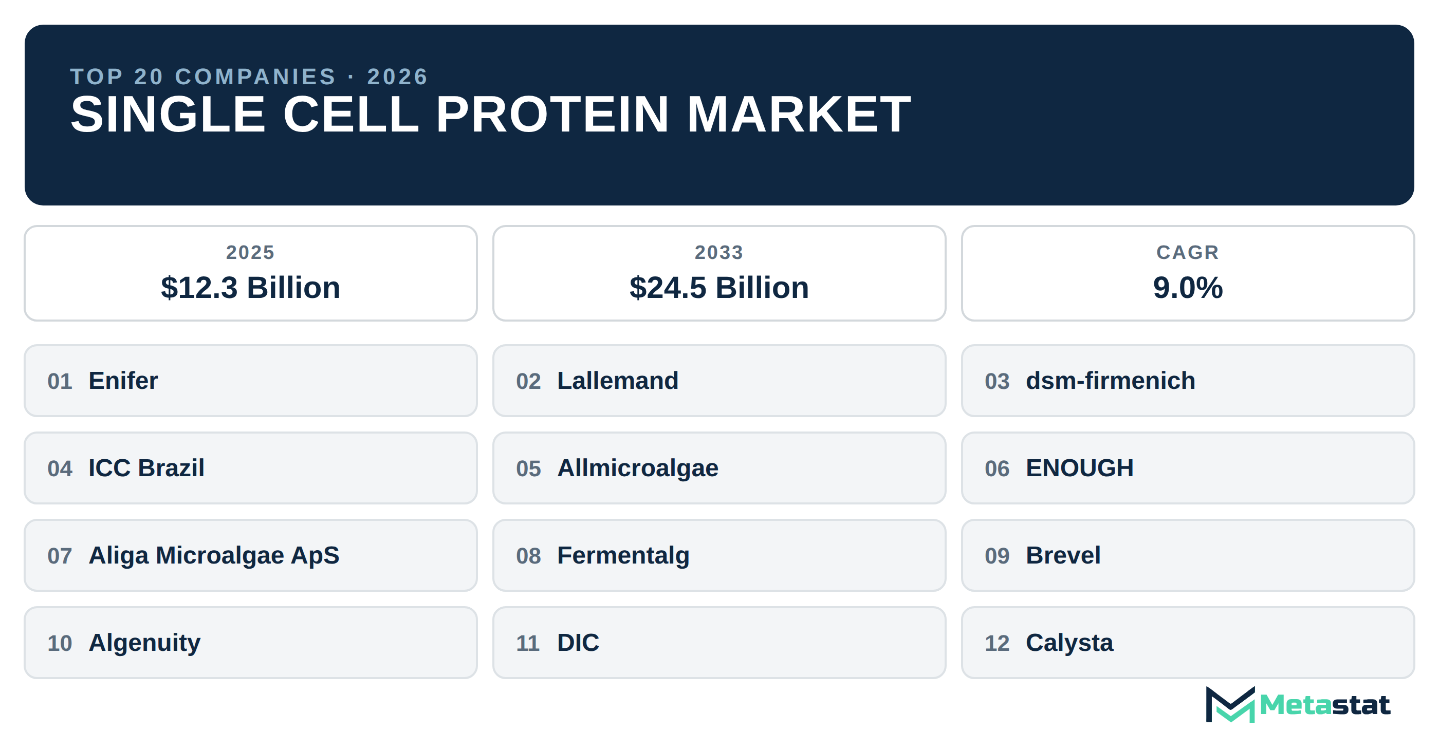 Top 20 Companies Global Single Cell Protein Industry