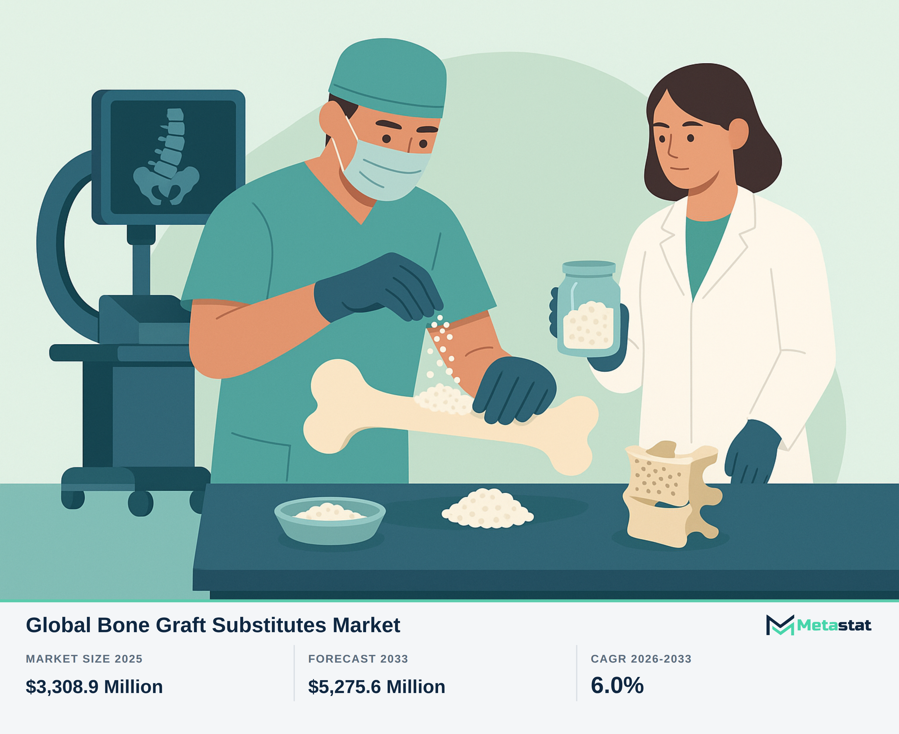 Bone Graft Substitutes Market Overview